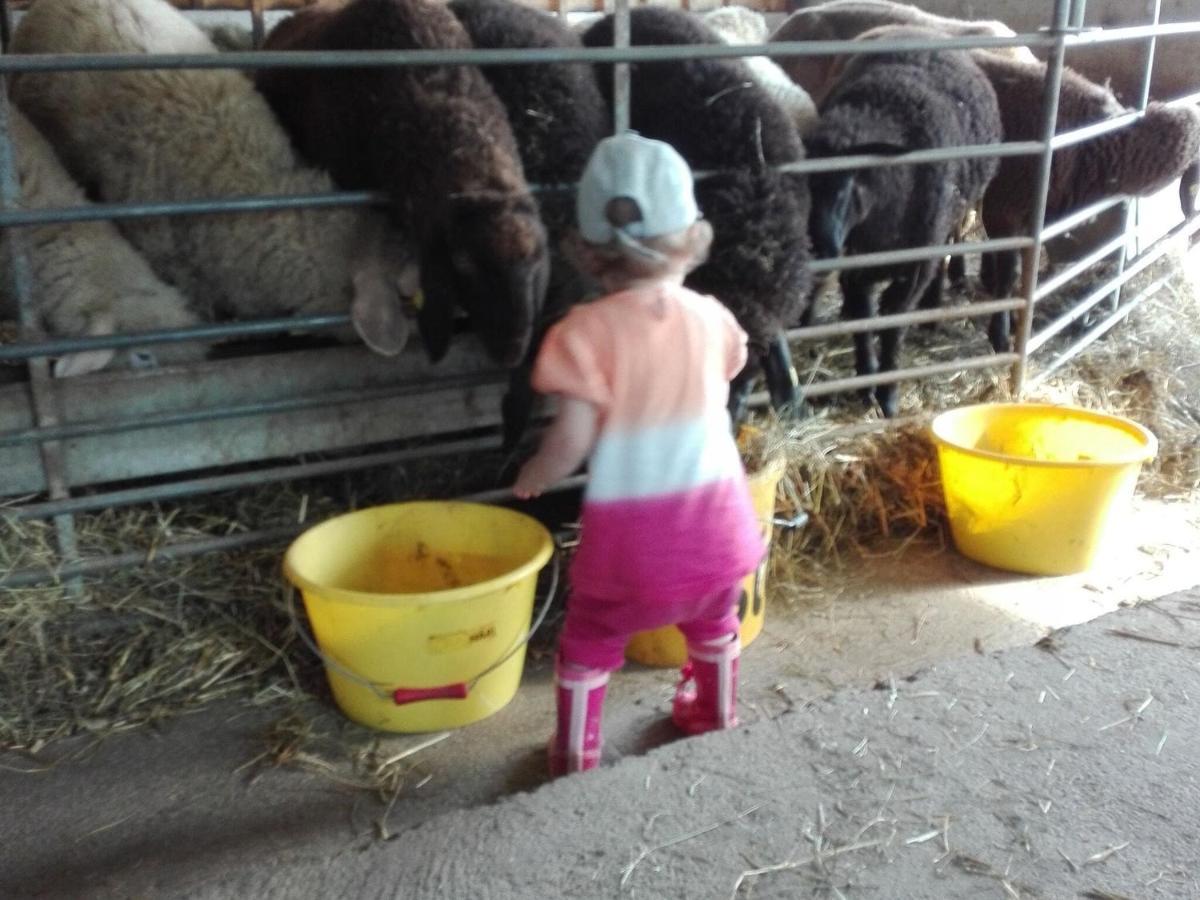 Holiday On An Organic Farm In Hart Im Zillertal Kültér fotó