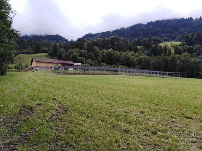Holiday On An Organic Farm In Hart Im Zillertal Kültér fotó